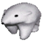 voidpls's avatar