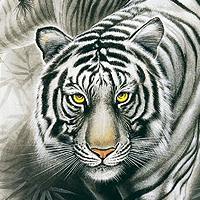 cybertiger's avatar